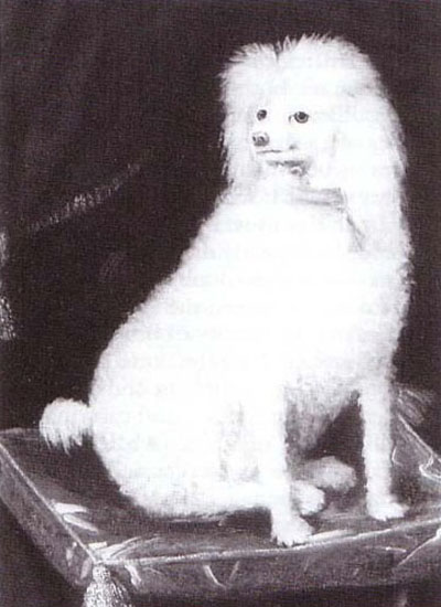 Boy, Prince Rupert's Dog